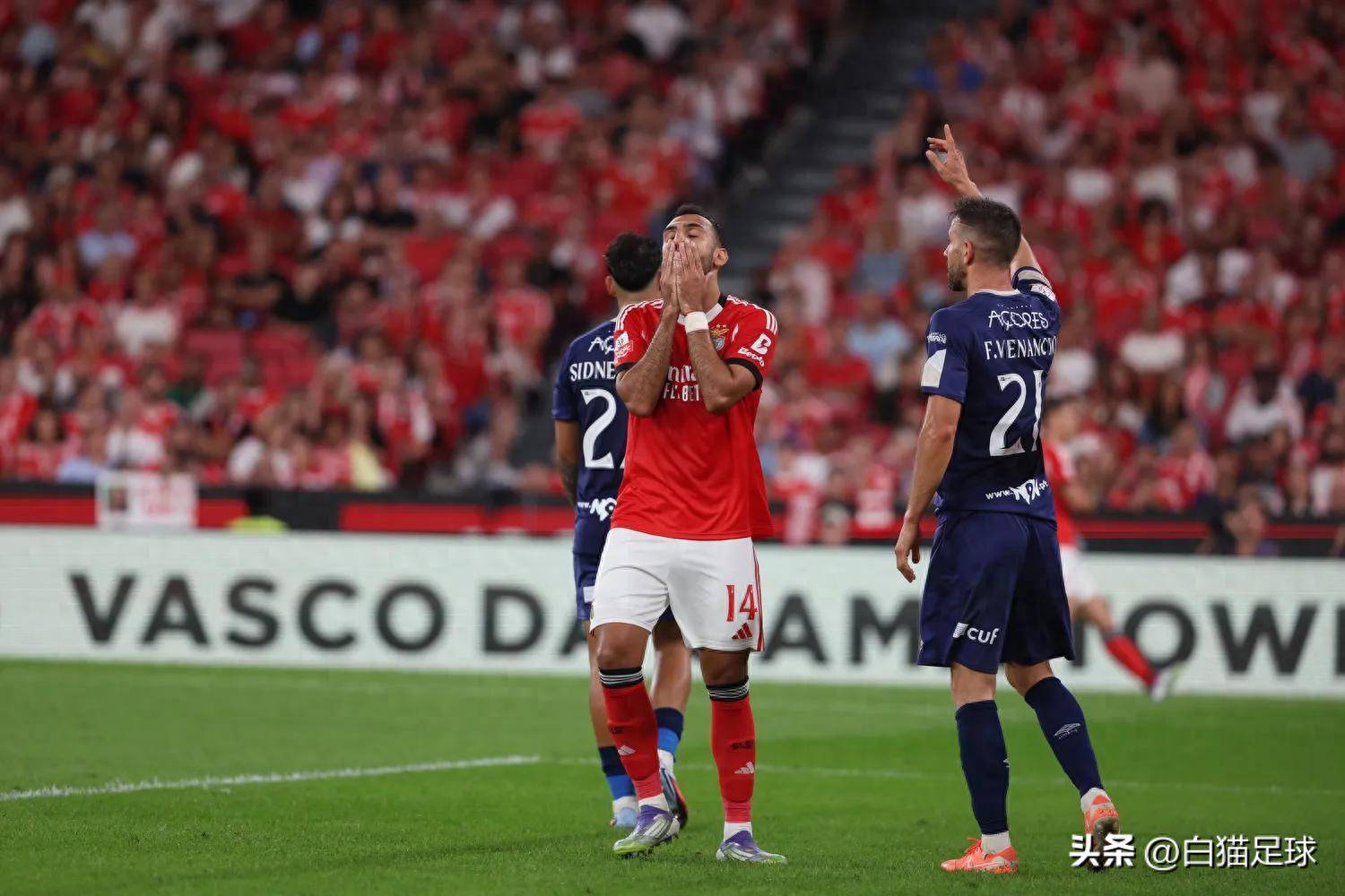 加时末段本菲卡绝杀压哨——国王杯节点到来；震撼外界；高层口径保持一致的简单介绍